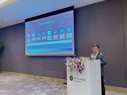 2025年度harmonyos connect伙伴峰會暨芯?？萍挤终搲瘓A滿落幕