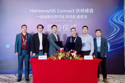 2025年度harmonyos connect伙伴峰會暨芯?？萍挤终搲瘓A滿落幕